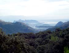 Bahía de Pollenza. Foto: José Bermejo.