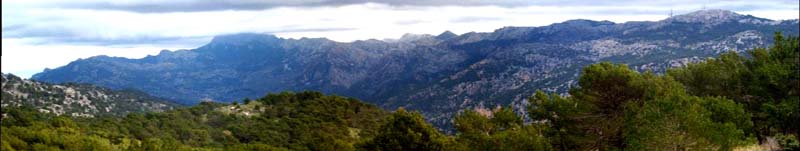 Vista de la Serra de Tramuntana desde el Pla de Sa Serp. Foto: José Bermejo.