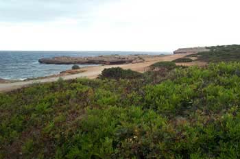 sa-punta-y-s-algar-5