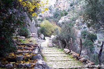 barranco-biniaraix