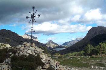 coll-ofre