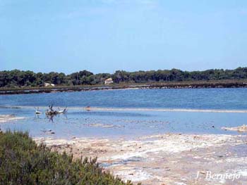 salobrar-de-campos