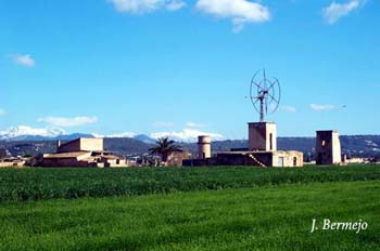 sant-jordi