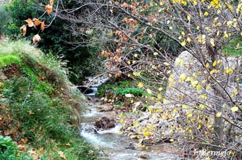 torrente-de-deya
