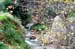 torrente-de-deya